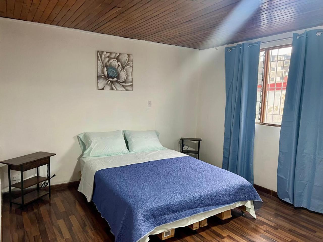 Carolina Hostel San José Kültér fotó